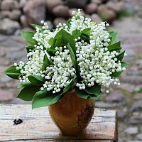 Nedēļas nogalē gaidāms pārsvarā saulains un vējains laiks