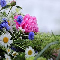 За все длинные выходные дожди и грозы ожидаются всего два дня: подробный прогноз За все длинные выходные дожди и грозы ожидаются всего два дня: подробный прогноз
