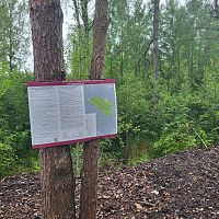 Обсудить строительство крематория вблизи Иманты может каждый; где и когда? Обсудить строительство крематория вблизи Иманты может каждый; где и когда?