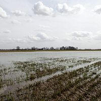 Весенний паводок может стать затяжными. Риски касаются Лиелупе, Даугавы и Гауи