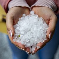 Синоптика пророчат теплую весну и буйное лето. С бурями, грозами и градом