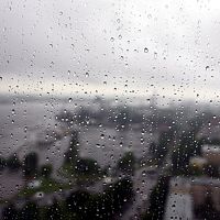 Дождливая ночь и осторожные прояснения Дождливая ночь и осторожные прояснения