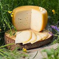 Дорого — но вкусно? Что нам продают под видом сыра Дорого — но вкусно? Что нам продают под видом сыра