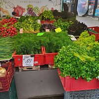 Посевная под угрозой срыва.  Цена дизеля выросла на 55 центов и фермеры на грани