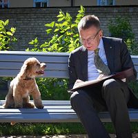 Кто ответит за павших коней? Президент требует проверки гибели животных в Кемери