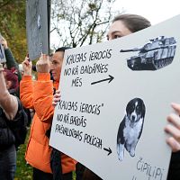 За убийство трёх собак в Брунавской волости хотят наказать трёх полицейских