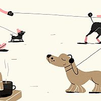 В Юрмалу — с четверолапыми! Куда можно, а куда нельзя