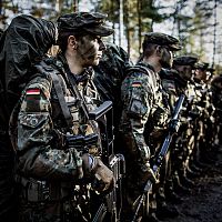 Немцы готовы отправить солдат бундесвера в Украину