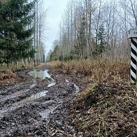 Штраф 200 евро: жители повадились гонять на квадроциклах вдоль границы