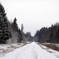 «Без осадков и без ветра» — синоптики обещают ясный день «Без осадков и без ветра» — синоптики обещают ясный день