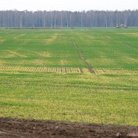 «Облаков много, но дождя почти нет» — обещают синоптики «Облаков много, но дождя почти нет» — обещают синоптики