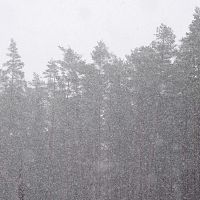 Зима пришла! А будет ли она суровой и снежной?