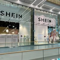 Франция требует блокировки Shein. За секс-кукол, напоминающих детей