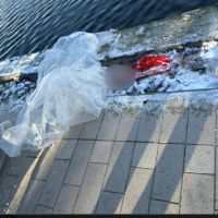 Жуткая находка в Москве: рабочие обнаружили сумку с частями детского тела Жуткая находка в Москве: рабочие обнаружили сумку с частями детского тела