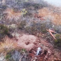 Хорошо, что не потравились: лесники случайно спровоцировали крупный выброс метана