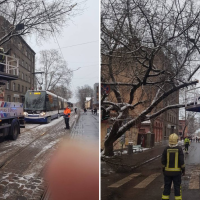 Упавшее дерево заблокировало движение трамваев в Риге
