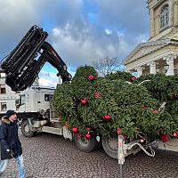 Поднял в воздух и повалил: Вентспилс остался без главной елки города? (ФОТО)