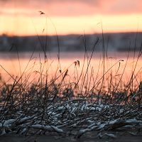 Погода на вторник: мороз и солнце