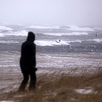 В Юрмале многие дома остались без света: и другие подробности прошедшей бури