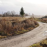 Дыхание Севера: сегодня похолодает, зато выглянет солнце
