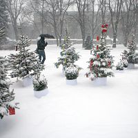 Исторический экскурс в погоду на Рождество: когда был самый глубокий снег?