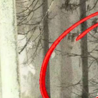 В центре Даугавпилса пьяный юноша размахивал оружием: но полиции пришлось его отпустить В центре Даугавпилса пьяный юноша размахивал оружием: но полиции пришлось его отпустить