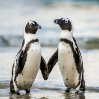 40 000 евро в год: латыши наши работу мечты, но не в Латвии