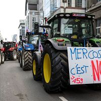 Франция развернула репрессии против протестующих фермеров, ООН выразила «глубокую озабоченность»