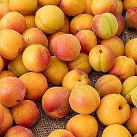 Абрикосы с цианидом: в Латвии задержаны опасные фрукты из Афганистана