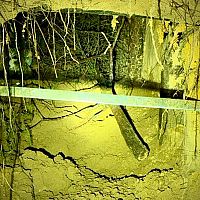 Туннель на границе Польши и Белоруссии: более 180 нелегалов проникли в ЕС Туннель на границе Польши и Белоруссии: более 180 нелегалов проникли в ЕС