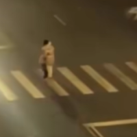 Дикое видео: мама переносит малыша через дорогу (ВИДЕО)