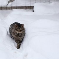 Дело к весне: погода завтра