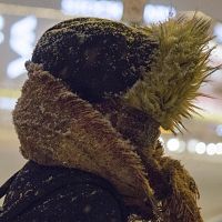 Все эти выходные! Снег, мороз, метель, вьюга, пурга, буран