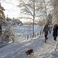«До -20 ночью»: синоптики о холодных выходных
