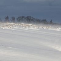 Зима крепчает: в пятинцу — метель, а на следующей неделе до минус 20