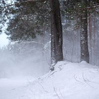 Два региона Латвии ночью накроет метелью Два региона Латвии ночью накроет метелью