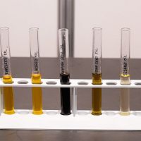 Инфлюенсеры пугают народ страшилками о вреде рапсового масла: Re:Check уточнил у специалистов