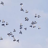 «От 10 до 20 см снега»: что покажет среда? «От 10 до 20 см снега»: что покажет среда?