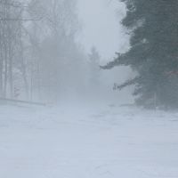 Ветер и метель: в Латвии порывы до 17 м-с Ветер и метель: в Латвии порывы до 17 м-с