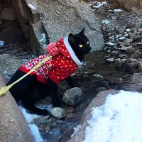 Наденем свитера и понизим температуру в домах: свежая идея Наденем свитера и понизим температуру в домах: свежая идея