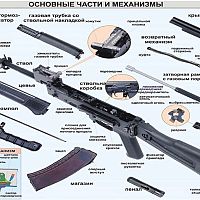 The Times нашла странную школу. Оружие, конспирология и симпатии к Путину