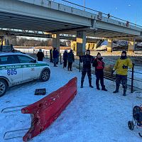 В лютый мороз в Болдерае: полицейские добровольно надели гидрокостюмы и спасали лебедей (ФОТО)