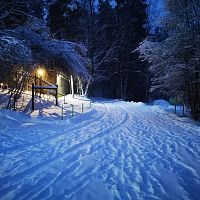 В приюте Ulubele из-за морозов лопнула канализация: нужна помощь