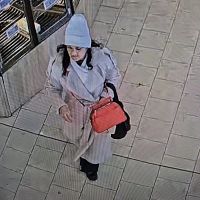 Узнаёте? Полиция устанавливает личность женщины (ФОТО)