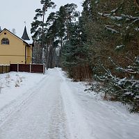 Юрмалу убирают лучше многих мировых столиц: жители вступились за свой город (ФОТО)