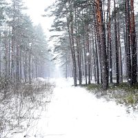 Снег и циклон: среда принесёт потепление