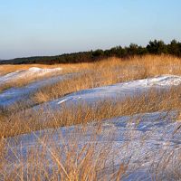 Прояснение и ветер, но без потепления — какой будет среда в Латвии?