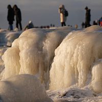 Почему после теплого декабря пришли сильные морозы? Профессор объясняет роль полярного вихря