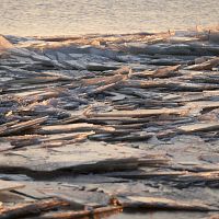 Рижский залив покрывается льдом; может ли он замёрзнуть совсем?