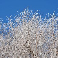 До минус 29 подморозило сегодня ночью: днём обещают снегопады